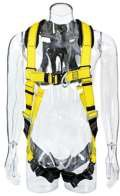 Fall Protection